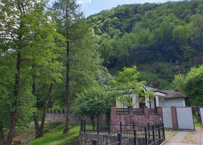 Fedor Semesterbostad