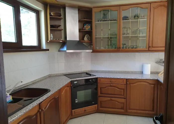 Semesterbostad Fedor Ribaritsa